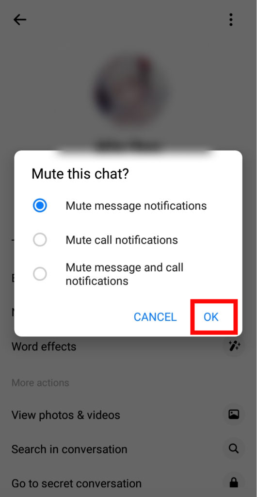 How to mute someone on Facebook Messenger?