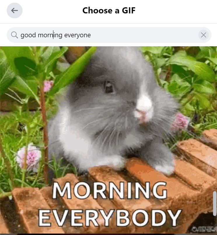 Post a GIF on Facebook