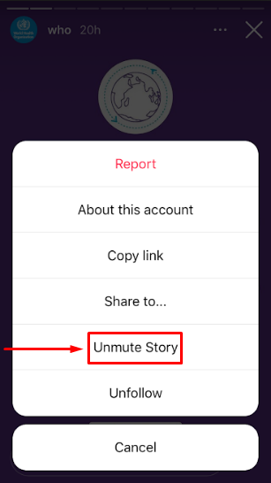 How to Unmute Someone's Story on Instagram on iPhone? 