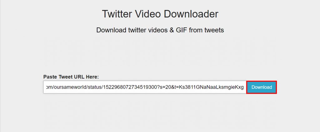 How to Download Twitter Videos?
