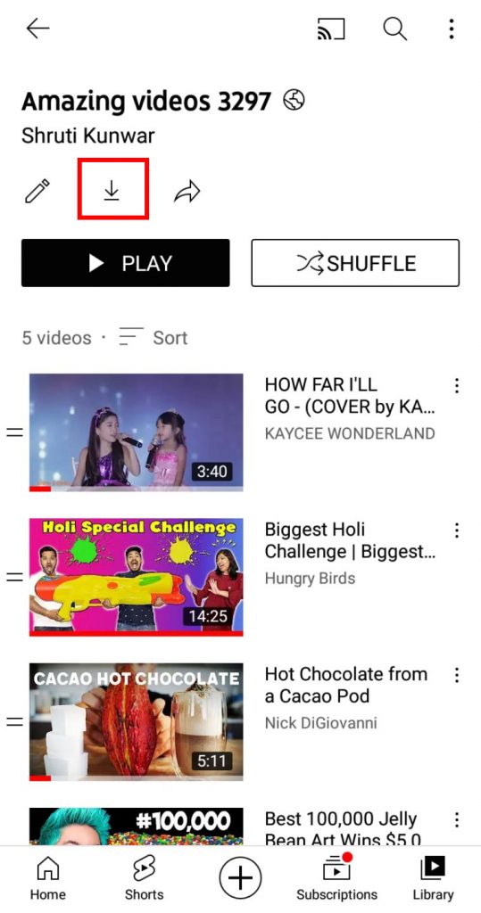 How to Download a Playlist from YouTube?
