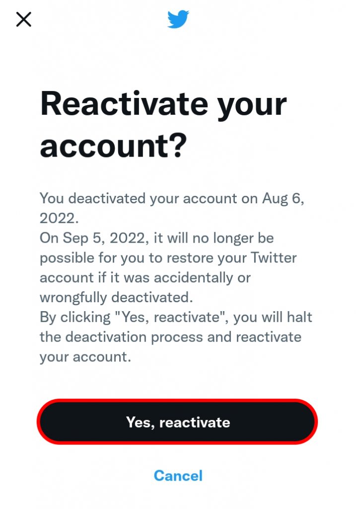 How to Reactivate Twitter Account?