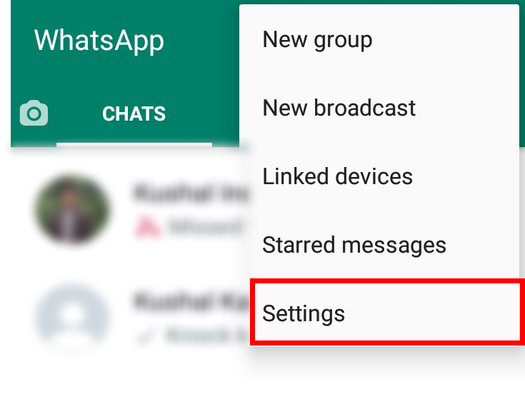 How to Delete the WhatsApp Account?