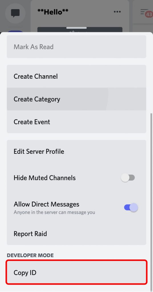 How to Report a Discord Server?
