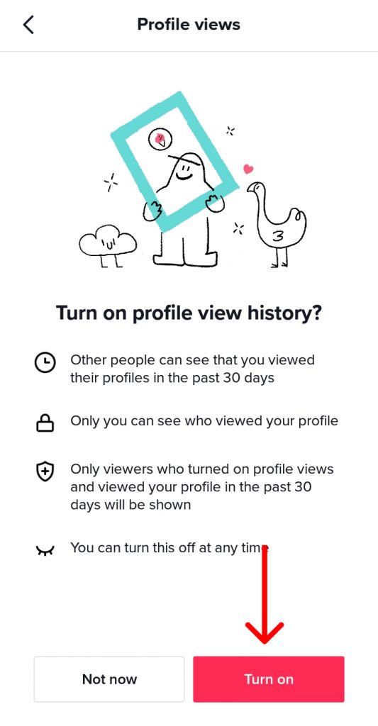 How to Turn on Profile Views on TikTok?