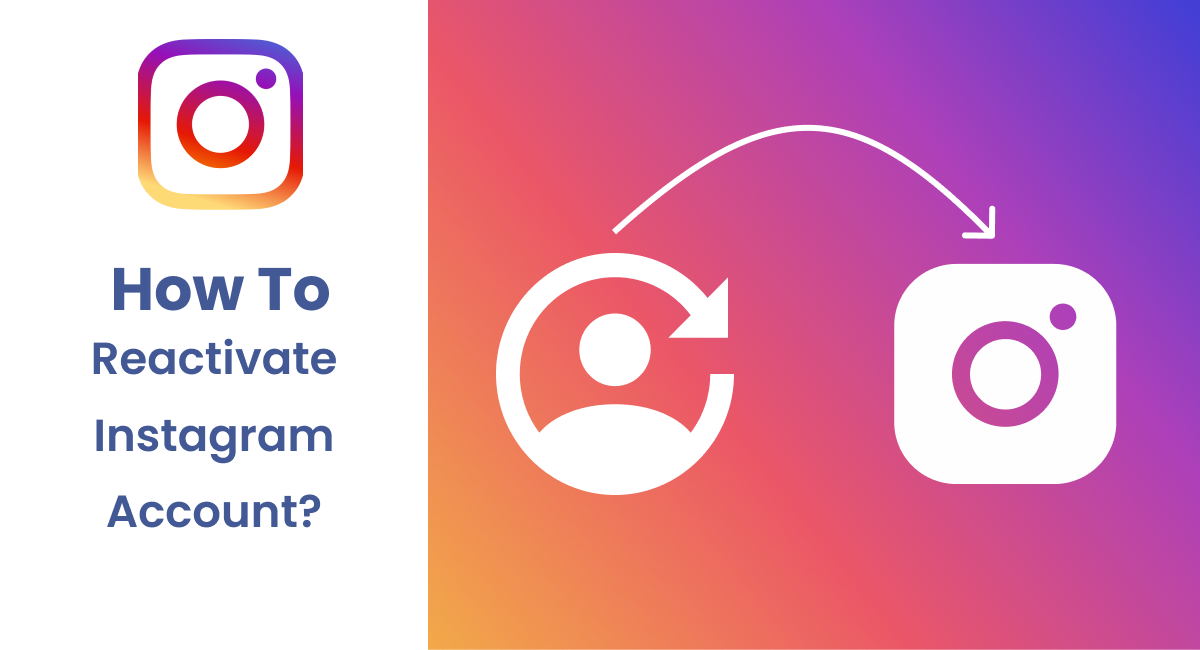 Should have Sources For Free Views on Instagram Videos Apk