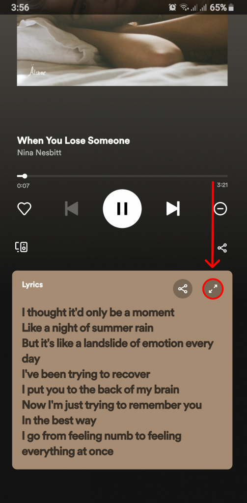 Can You Share Lyrics on Spotify?