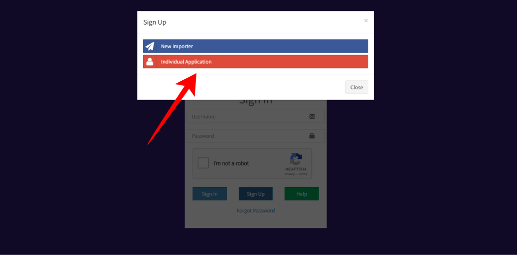 Tap on Individual Application.