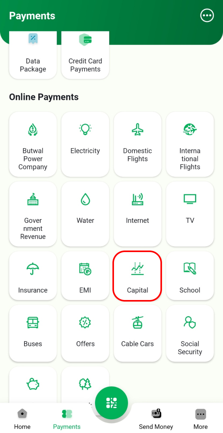 Click on Capital.