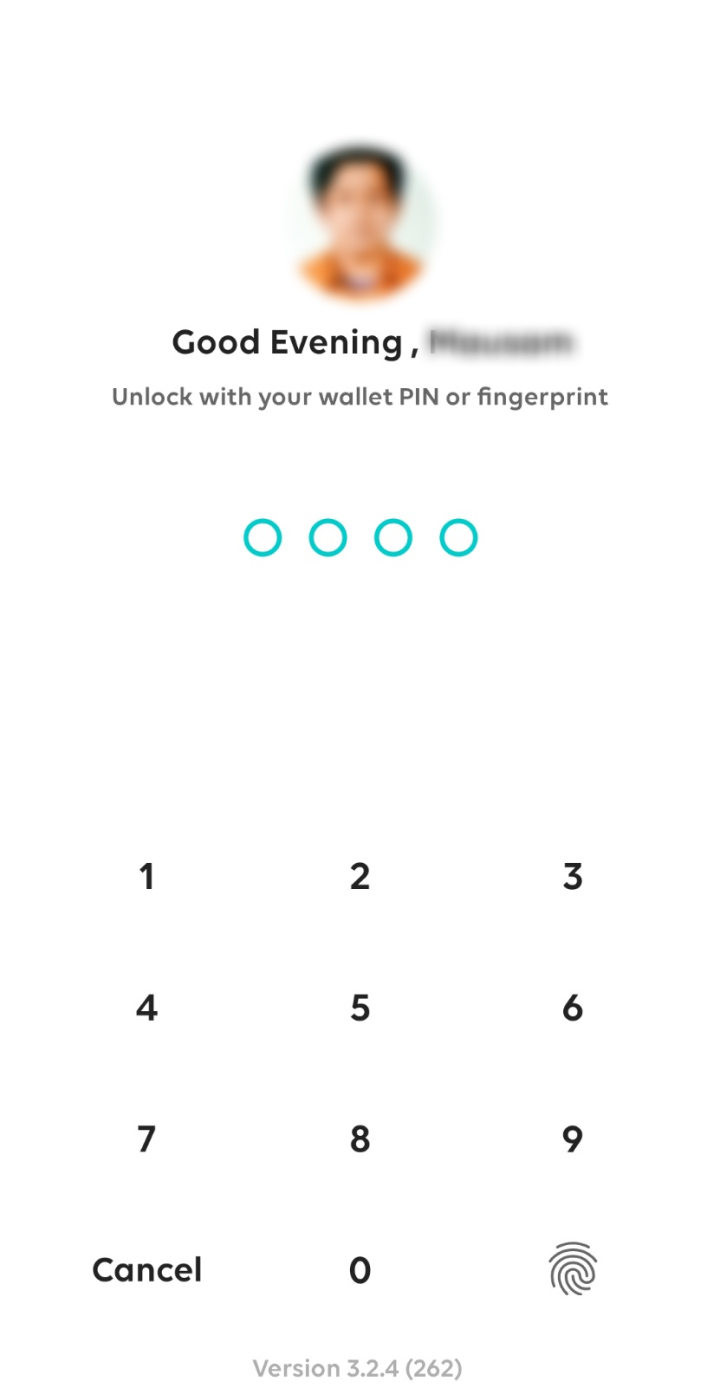 Enter your wallet pin.